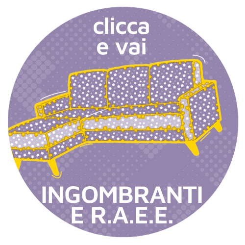 ingombranti grande R.A.E.E.